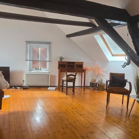 Loft Gaia Apartment Brunstatt-Didenheim Luaran gambar