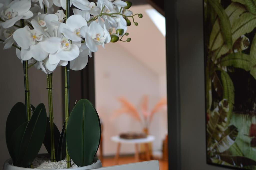 Loft Gaia Apartment Brunstatt-Didenheim Luaran gambar
